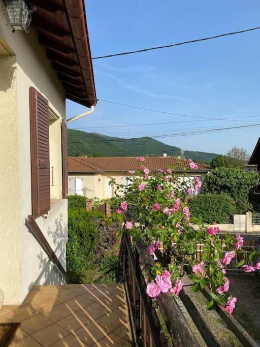 La Terrasse Du Fourcat Apartment Saint-Paul-de-Jarrat Екстериор снимка