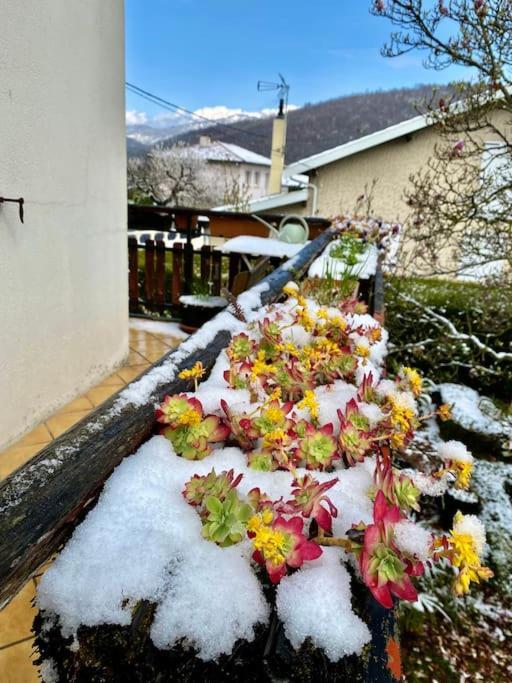 La Terrasse Du Fourcat Apartment Saint-Paul-de-Jarrat Екстериор снимка