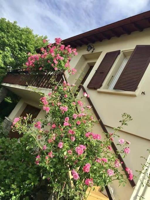 La Terrasse Du Fourcat Apartment Saint-Paul-de-Jarrat Екстериор снимка