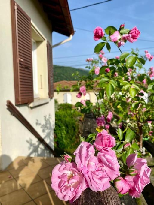 La Terrasse Du Fourcat Apartment Saint-Paul-de-Jarrat Екстериор снимка